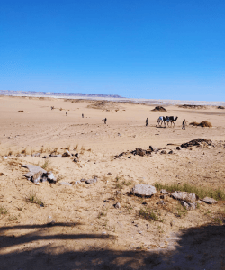 sahara egypt tours