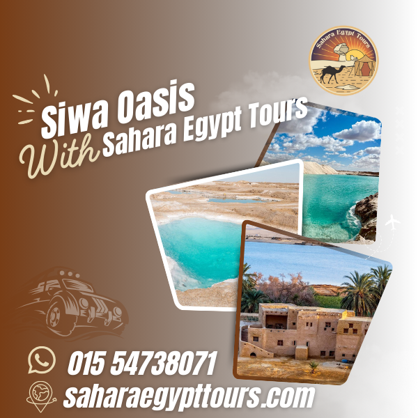 Siwa Oasis Tour