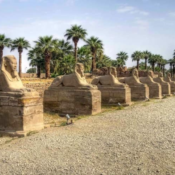 Avenue-of-Sphinxes-Sahara-1