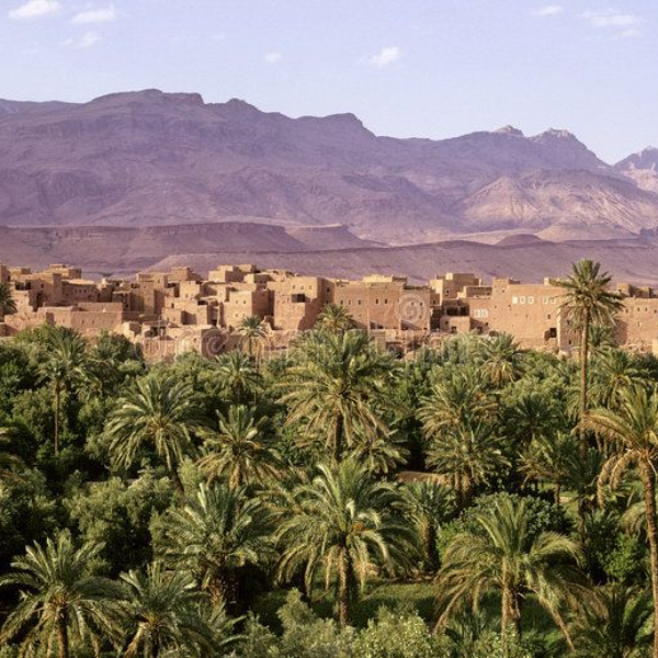 Beharia-Oasis-Sahara