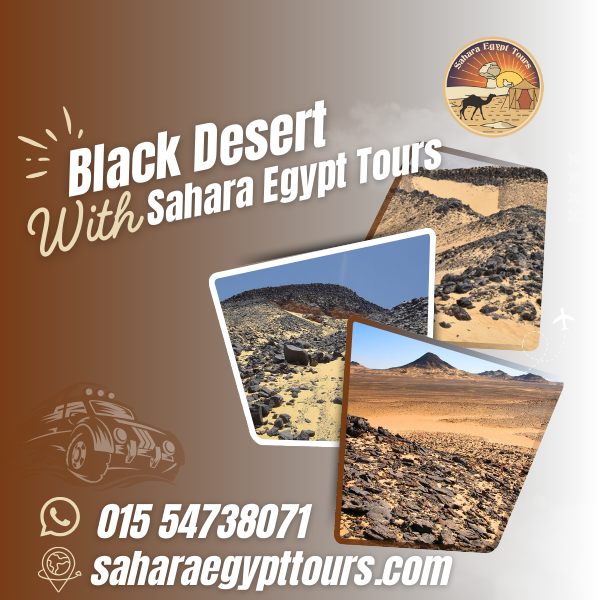 Black Desert Tour Egypt