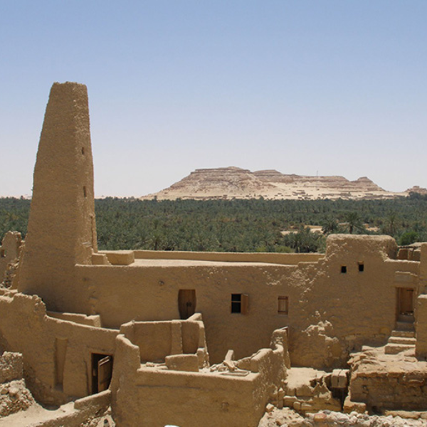 Oracle-Temple-Sahara