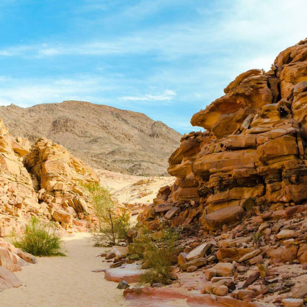 Small-Valley-Sahara