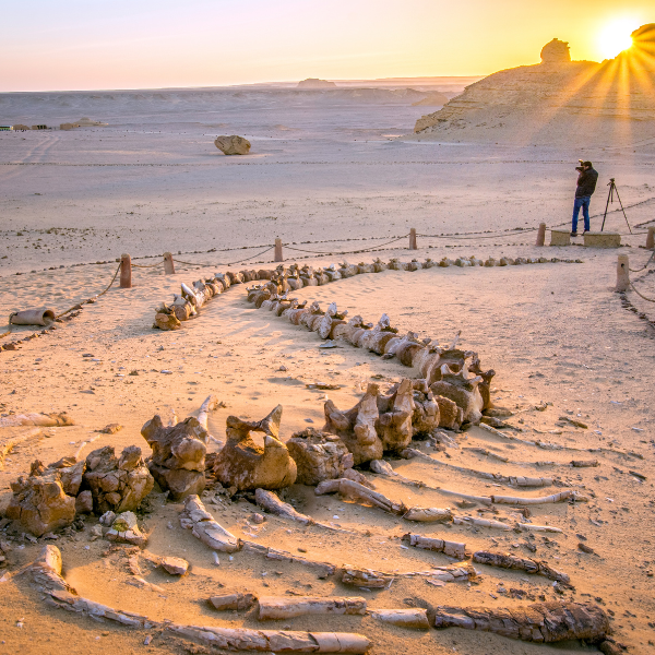 Wadi-El-Hitan-Sahara-1