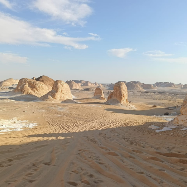 moring-white-desert-Sahara