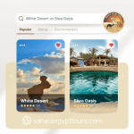 Siwa Oasis VS white desert siwa-desert-safari-vs-white-desert