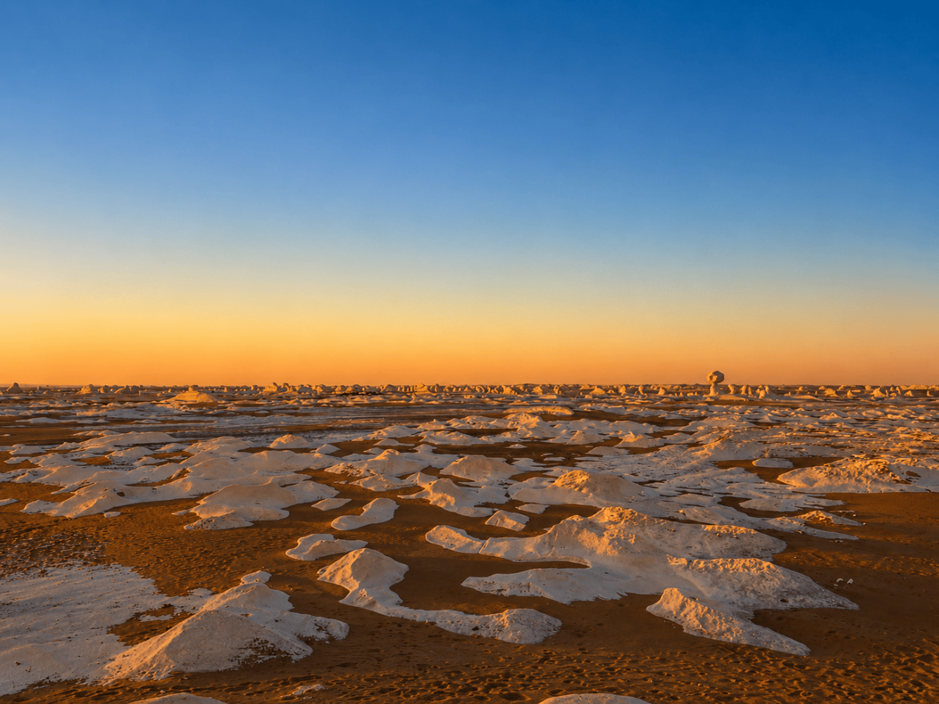 Serene desert landscape at sunset