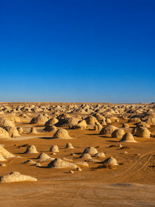 Vast desert with hoodoos and tire tracks