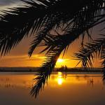 white desert and siwa oasis tour 1