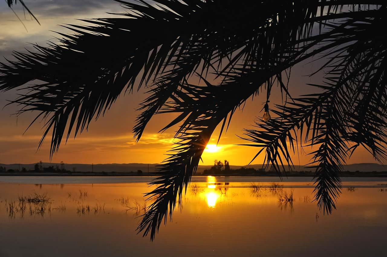 white desert and siwa oasis tour 1